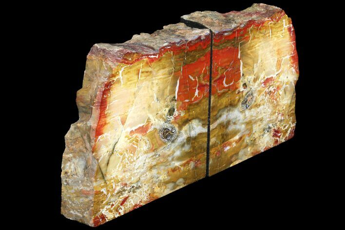 Red And Yellow Jasper Replaced Petrified Wood Bookends - Oregon #131797